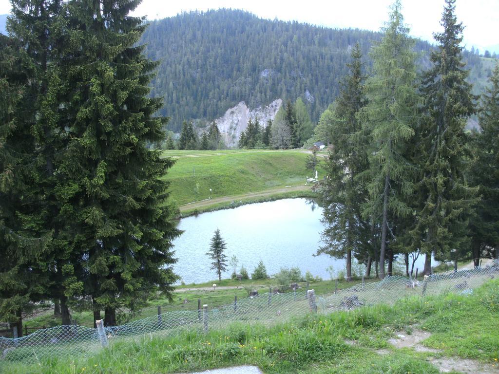 Haus Johanna Radstadt Bagian luar foto
